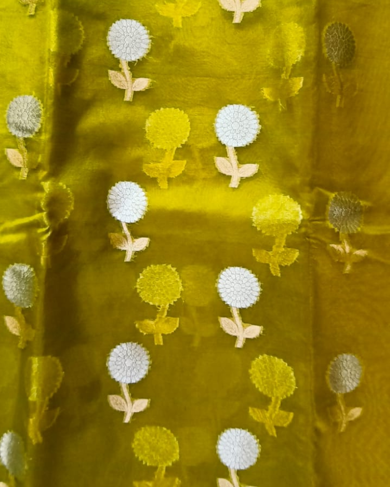Pastel Green Banarasi Semi Kora Organza Saree