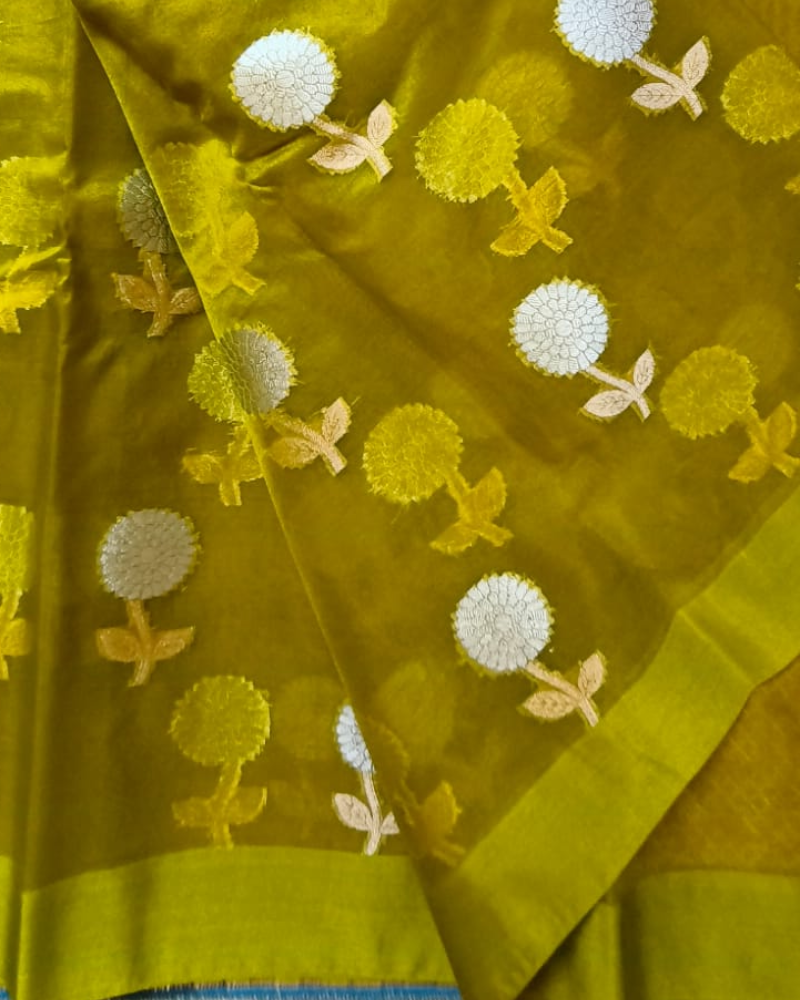 Pastel Green Banarasi Semi Kora Organza Saree