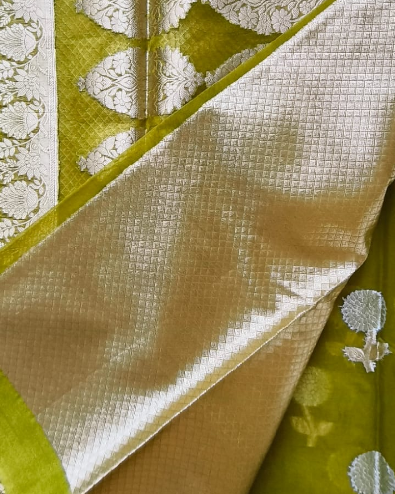 Pastel Green Banarasi Semi Kora Organza Saree