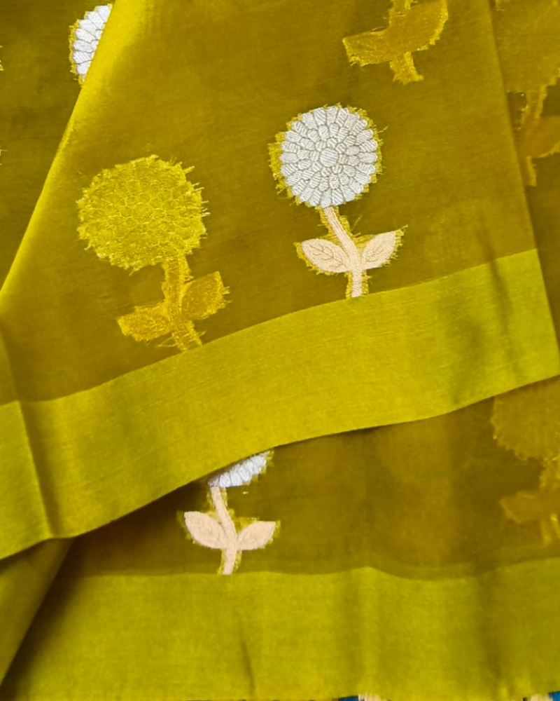Pastel Green Banarasi Semi Kora Organza Saree