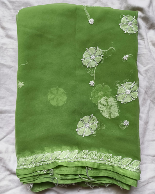 Light Green Resham Georgette Chikankari