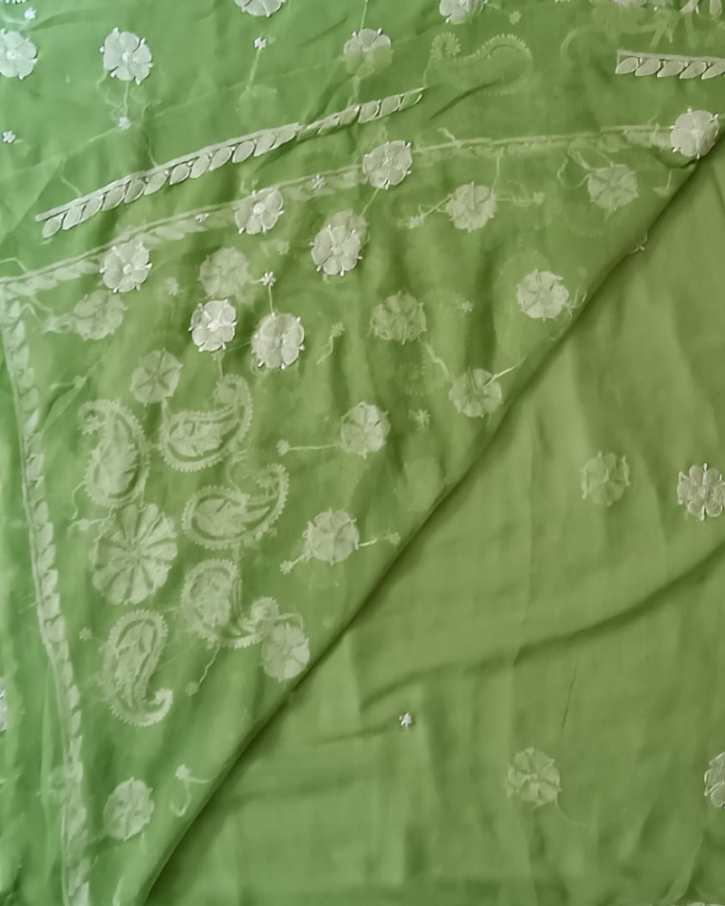 Light Green Resham Georgette Chikankari