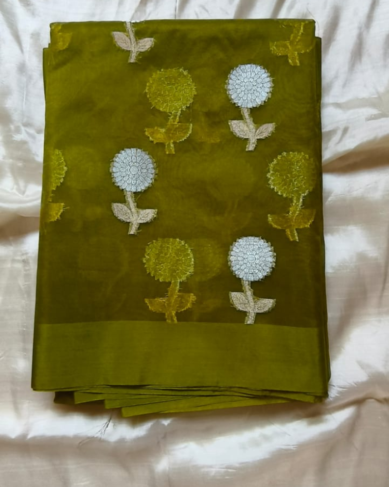 Pastel Green Banarasi Semi Kora Organza Saree