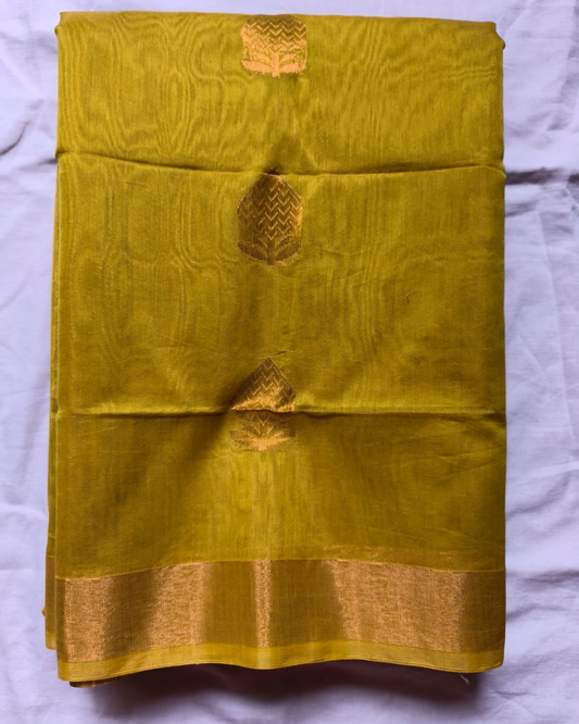 Mustard Green Ellampilai Handloom Sico saree