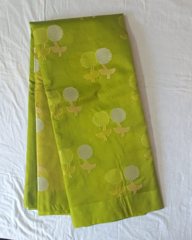 Pastel Green Banarasi Semi Kora Organza Saree