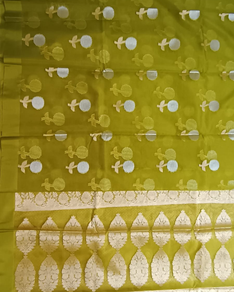 Pastel Green Banarasi Semi Kora Organza Saree